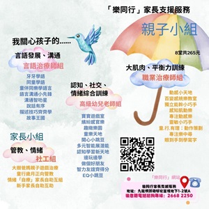 Summary of Parent-Child Training Group
