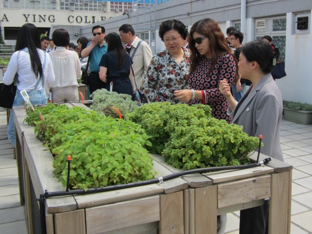 訪客參觀盛康園的天台花園「翠趣園」，了解殘疾人士如何在園藝創作中獲益。