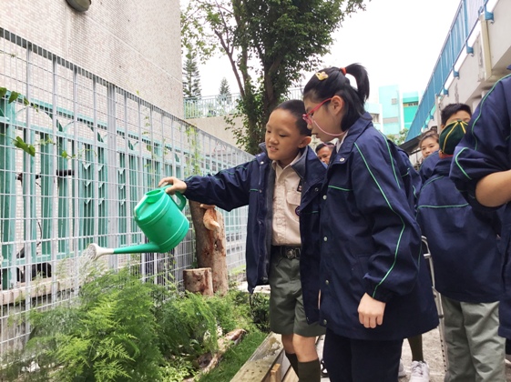 學生在老師的指導下，學習如何照顧植物。 
