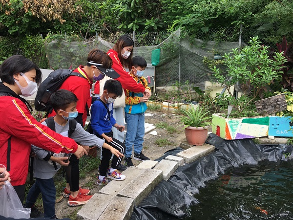 義工陪同小朋友參觀魚池