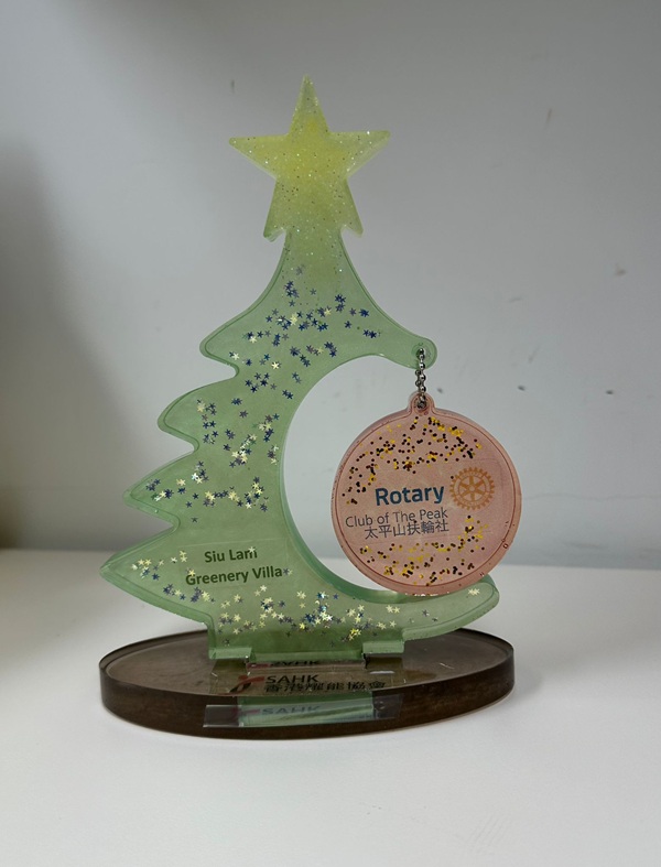 The resin Christmas tree decoration made by the trainee. The resin Christmas tree decoration made by the trainee.