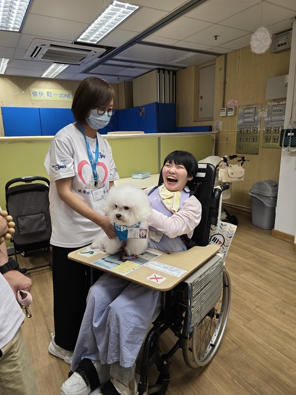 The boarding students and the therapy dogs thoroughly enjoyed their time together, with smiles lighting up everyone’s faces.(Picture E) The boarding students and the therapy dogs thoroughly enjoyed their time together, with smiles lighting up everyone’s faces.(Picture E)